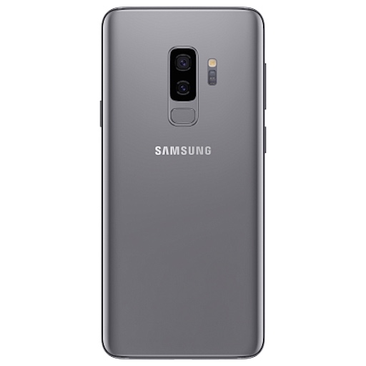 Samsung Galaxy S9 Plus Крышка задняя титан