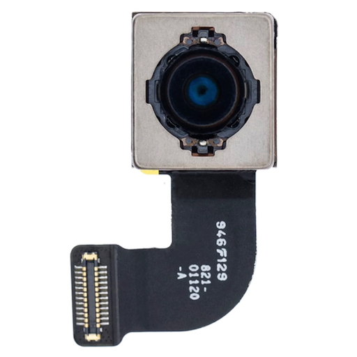 Apple iPhone SE 3 (2022) Камера основная