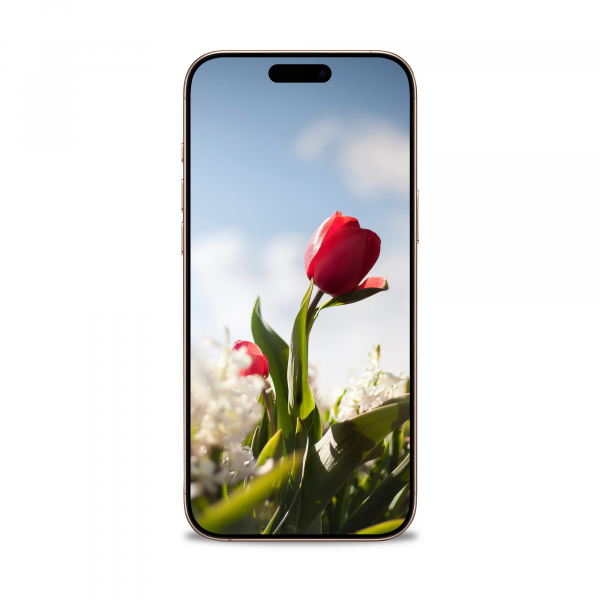 10 ярких весенних обоев iPhone. Майские в самом разгаре1